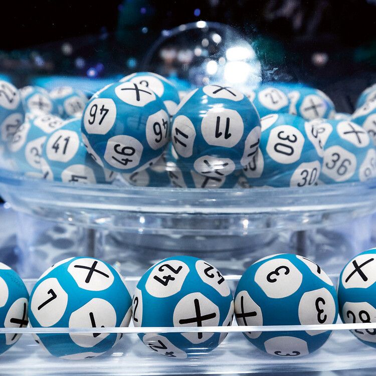 lotto (3).jpg