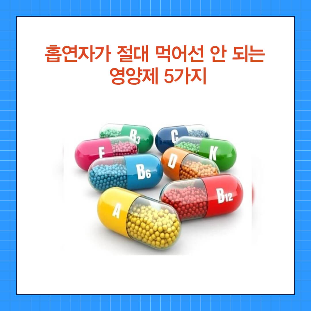 영양제 (1).jpg