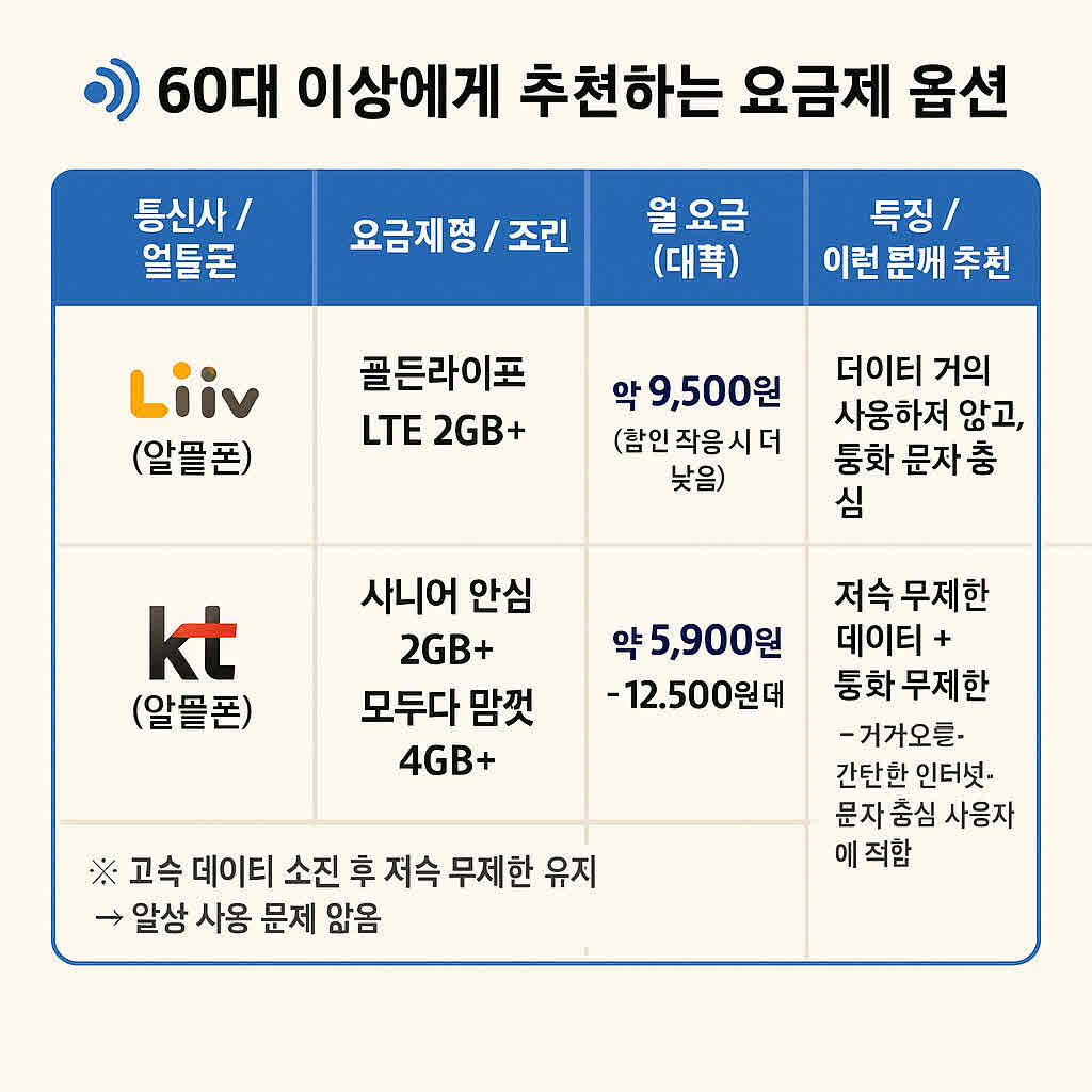 60대 스마트폰 데이터 요금제 (2).jpg