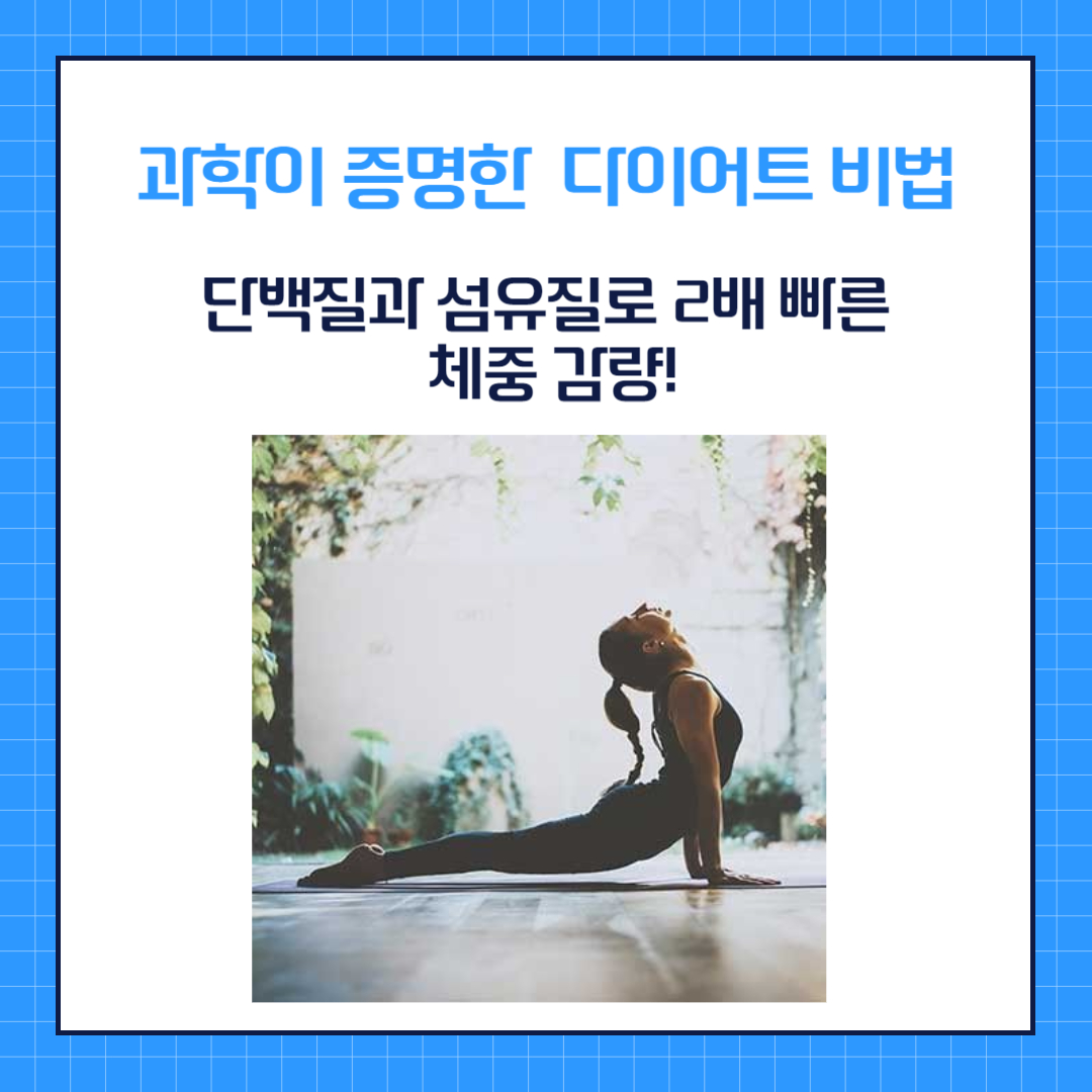 과학이 증명한 다이어트 비법 : 단백질과 섬유질로 2배 빠른 체중 감량!